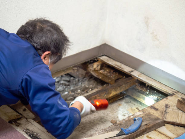 Best Kitchen Mold Remediation in Elliston, VA