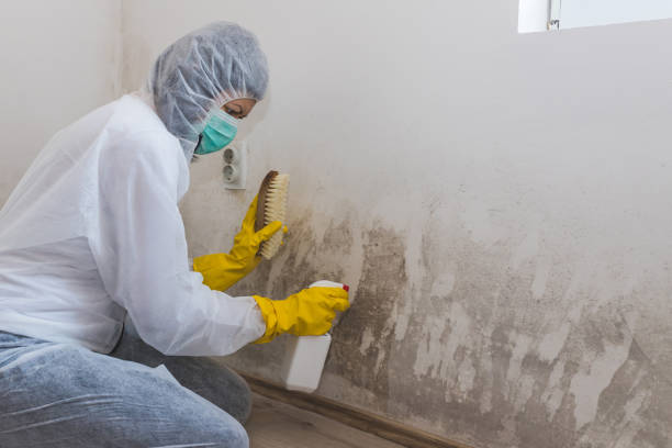 Best Industrial Mold Remediation in Elliston, VA