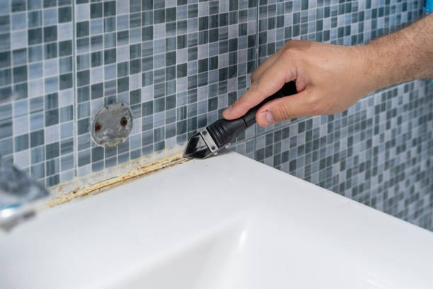 Best Mold Remediation for Schools in Elliston, VA