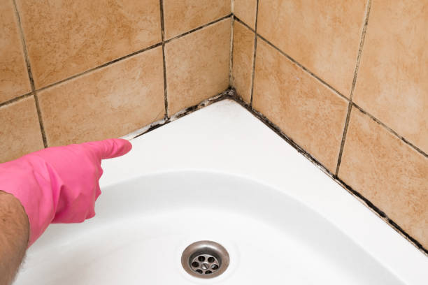 Best Post-Remediation Services in Elliston, VA